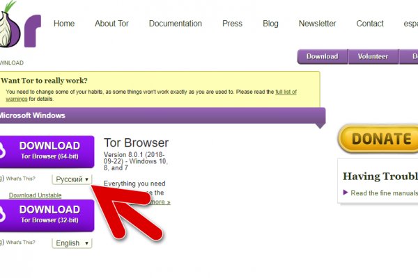 Как через тор браузер зайти в даркнет
