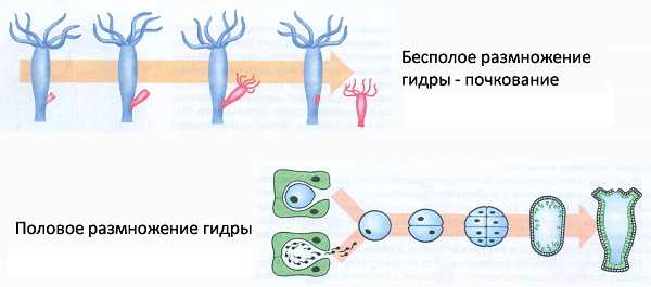 2krn tech